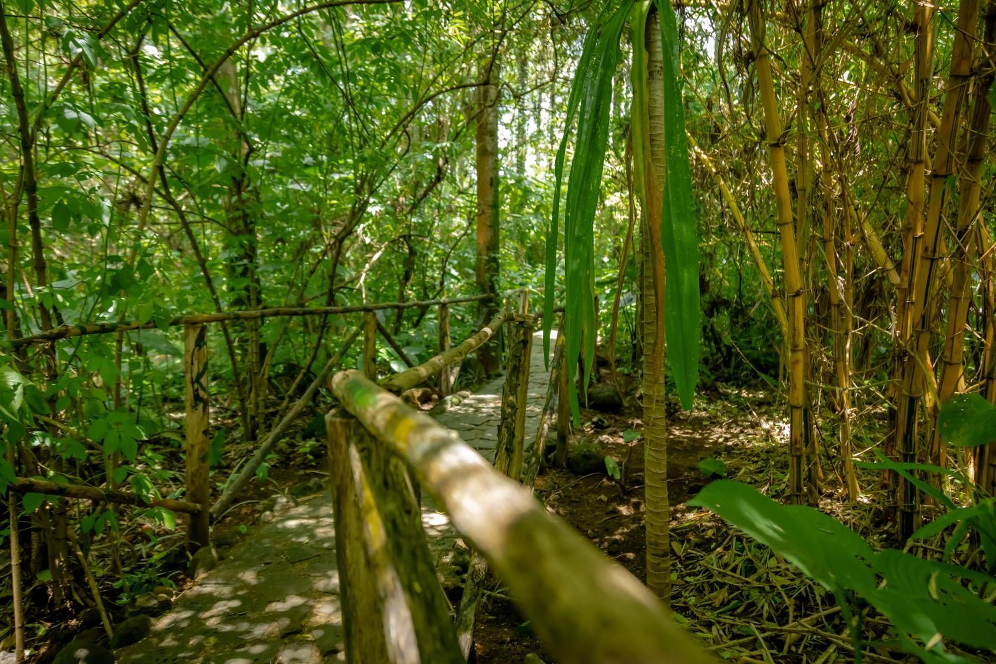 Fravan Eco Resort By Apogee Ruhengeri Buitenkant foto