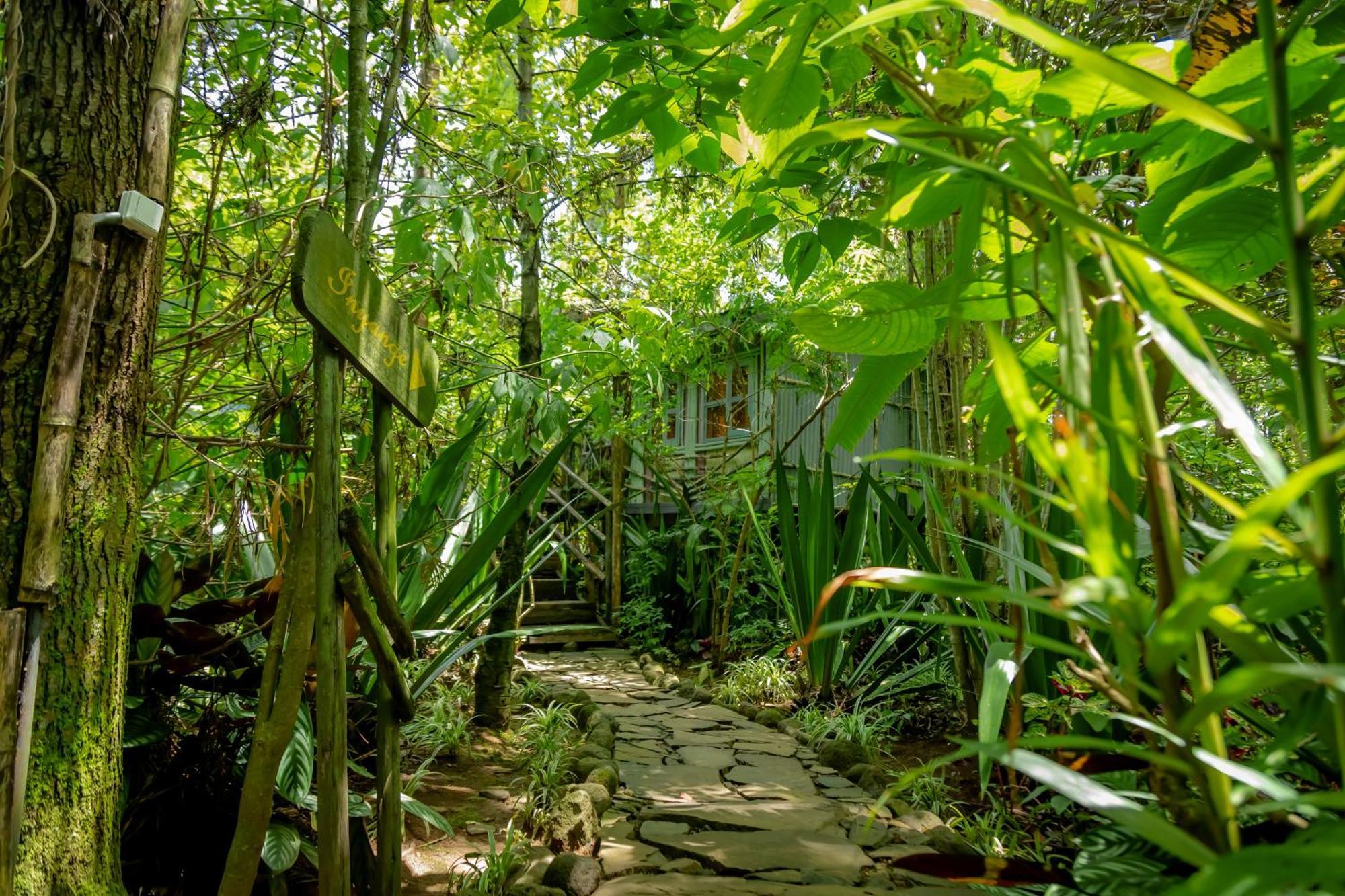 Fravan Eco Resort By Apogee Ruhengeri Buitenkant foto