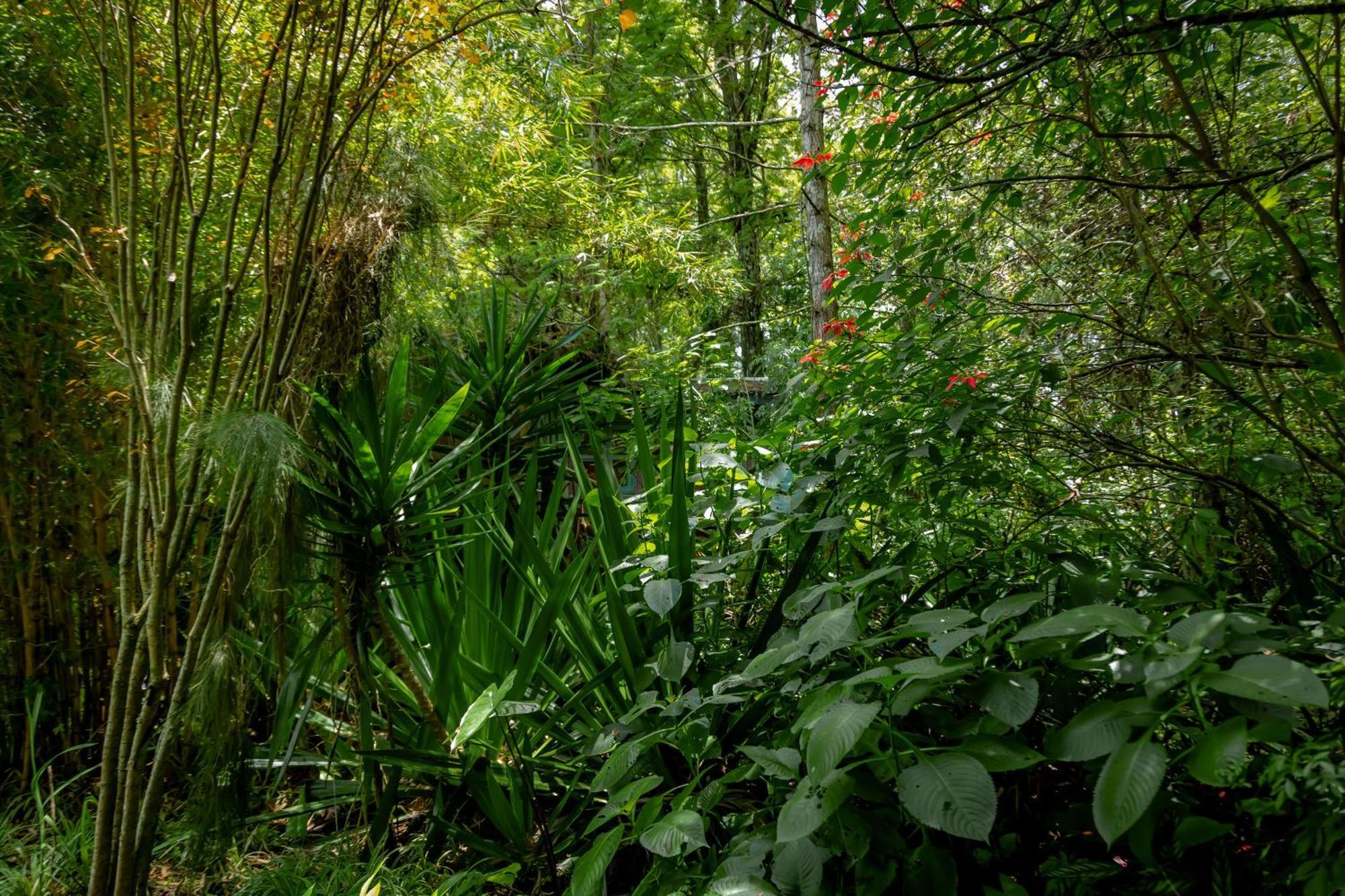 Fravan Eco Resort By Apogee Ruhengeri Buitenkant foto