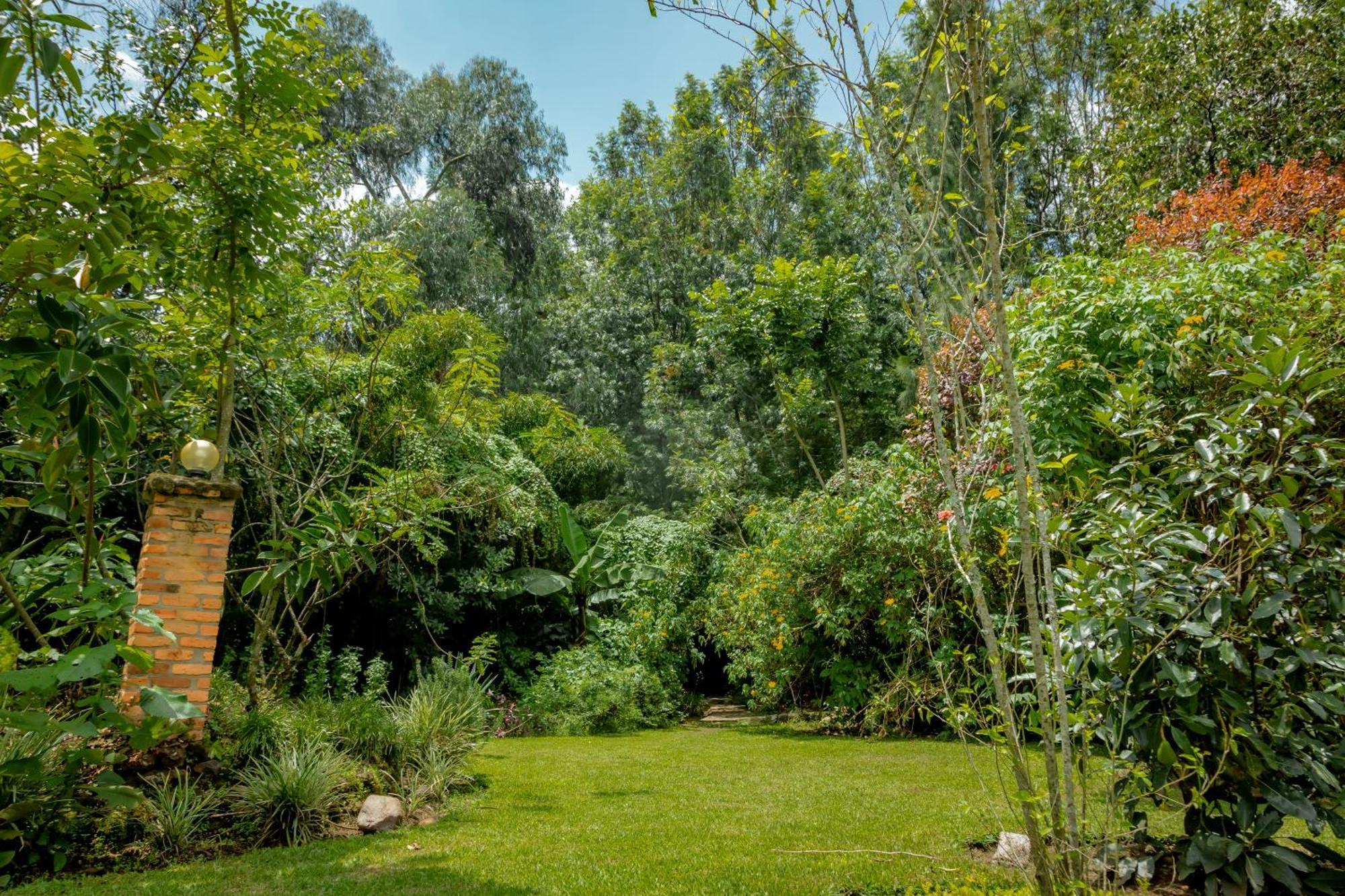 Fravan Eco Resort By Apogee Ruhengeri Buitenkant foto