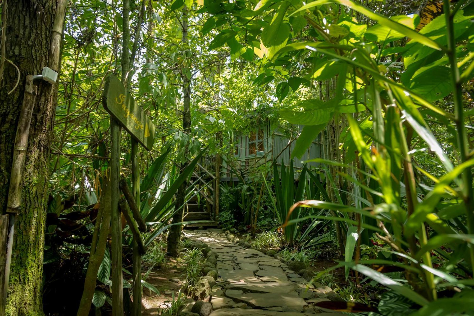 Fravan Eco Resort By Apogee Ruhengeri Buitenkant foto